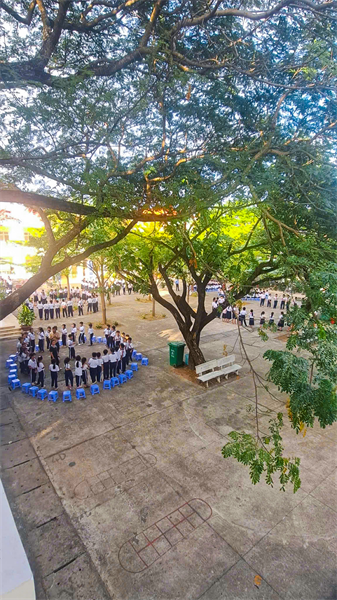 Hình ảnh tại trường29